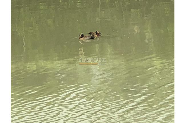 Lotes, Venta, Jamundí - $375.500.000