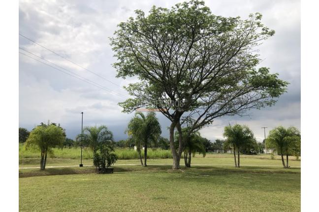 Lotes, Venta, Jamundí - $375.500.000