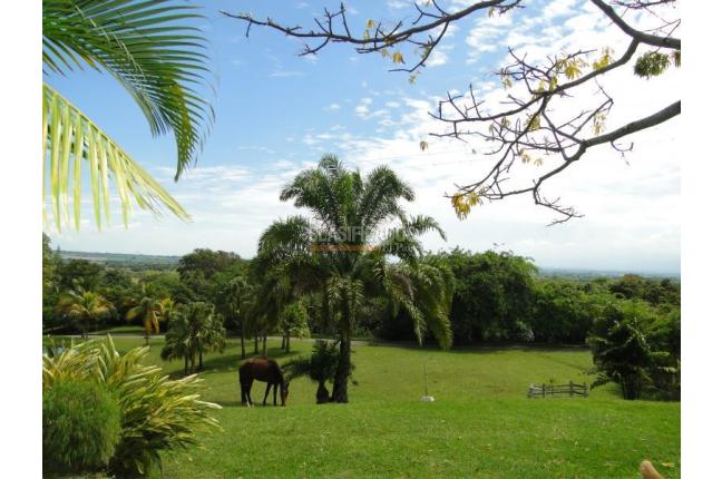 Fincas y Casas Campestres, Venta, El Cerrito - $5.000.000.000