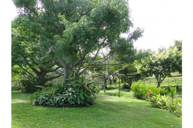 Fincas y Casas Campestres, Venta, El Cerrito - $5.000.000.000