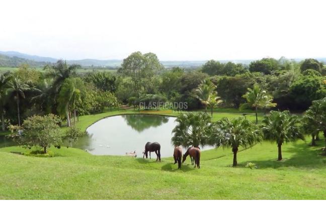 Fincas y Casas Campestres, Venta, El Cerrito - $5.000.000.000
