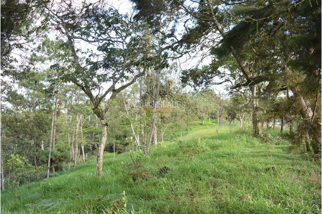 Lotes, Venta, Yumbo - $621.478.000