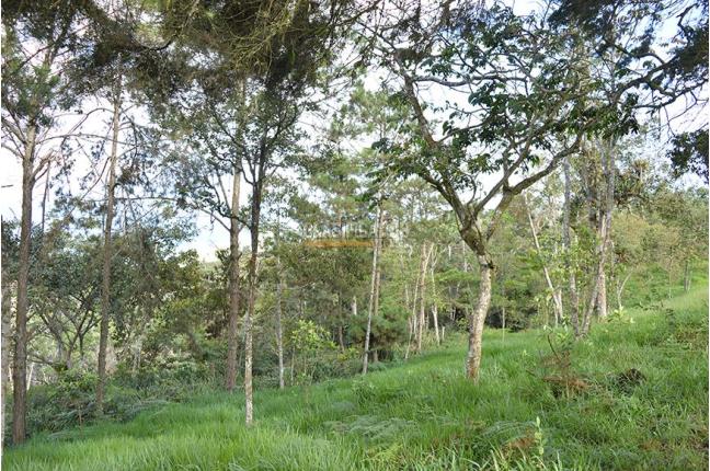 Lotes, Venta, Yumbo - $621.478.000