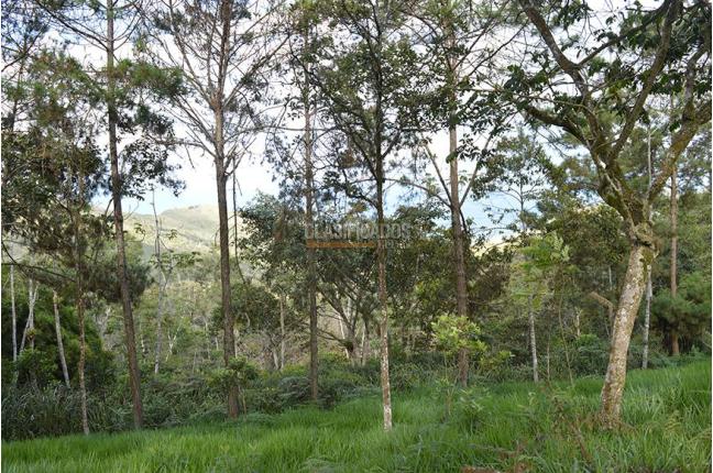 Lotes, Venta, Yumbo - $621.478.000