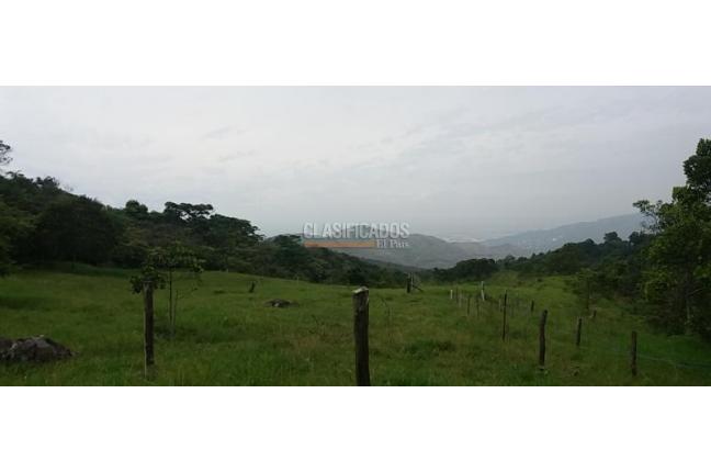 Lotes, Venta en Yumbo