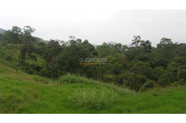 Lotes, Venta, Yumbo - $2.400.000.000