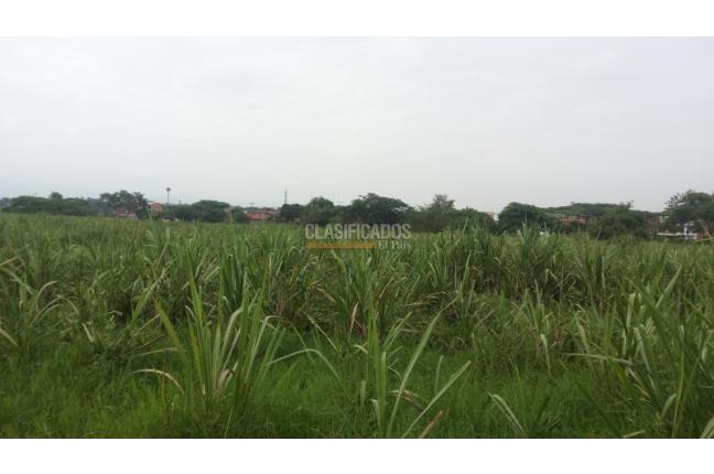 Lotes, Venta, Palmira - $3.500.000.000