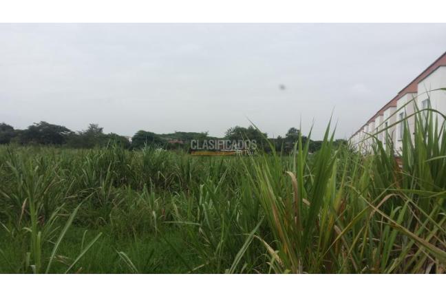 Lotes, Venta, Palmira - $3.500.000.000