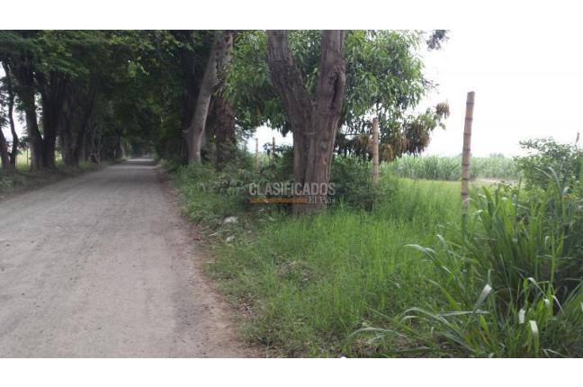 Lotes, Venta, Palmira - $3.500.000.000