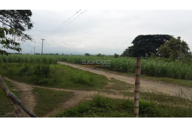 Lotes, Venta, Palmira - $3.500.000.000
