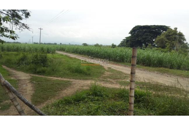 Lotes, Venta, Palmira - $3.500.000.000