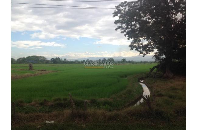 Lotes, Venta, Jamundí - $8.295.000.000