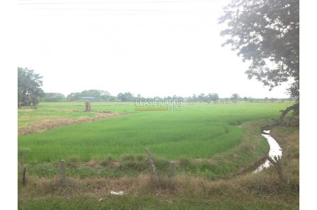 Lotes, Venta, Jamundí - $8.295.000.000