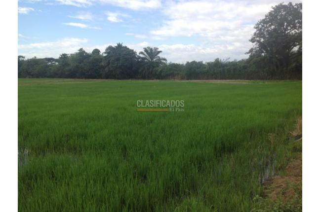 Lotes, Venta, Jamundí - $8.295.000.000