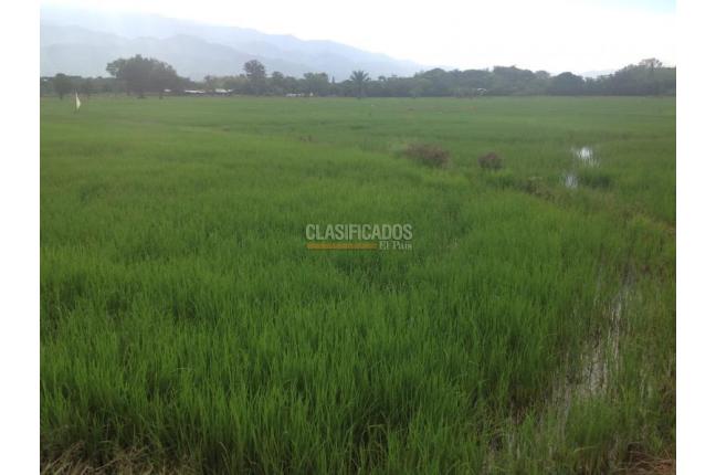 Lotes, Venta, Jamundí - $8.295.000.000