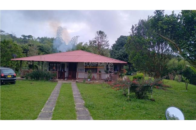 Fincas y Casas Campestres, Venta, La Cumbre - $480.000.000