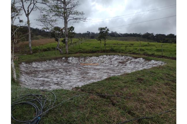 Fincas y Casas Campestres, Venta en Dagua