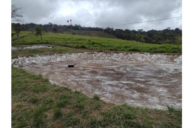 Fincas y Casas Campestres, Venta, Dagua - $2.500.000.000