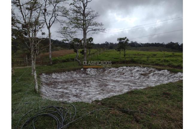 Fincas y Casas Campestres, Venta, Dagua - $2.500.000.000