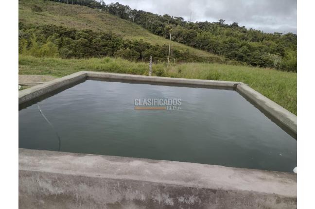 Fincas y Casas Campestres, Venta, Dagua - $2.500.000.000