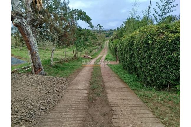 Lotes, Venta, Calicanto - $85.000.000