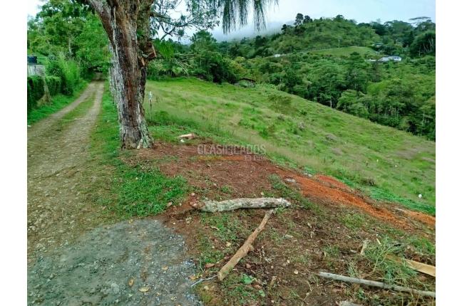 Lotes, Venta, Calicanto - $85.000.000