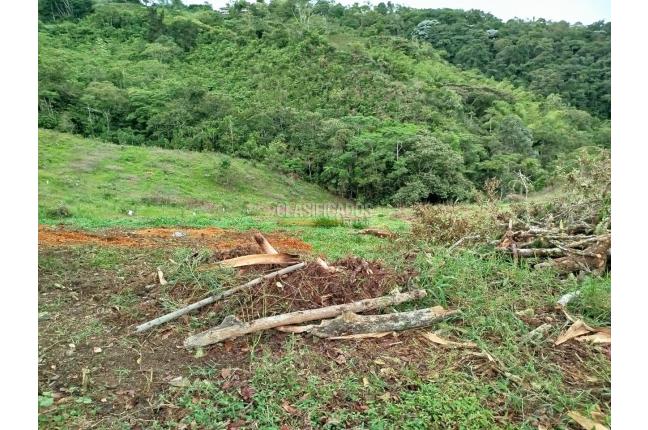 Lotes, Venta, Calicanto - $85.000.000