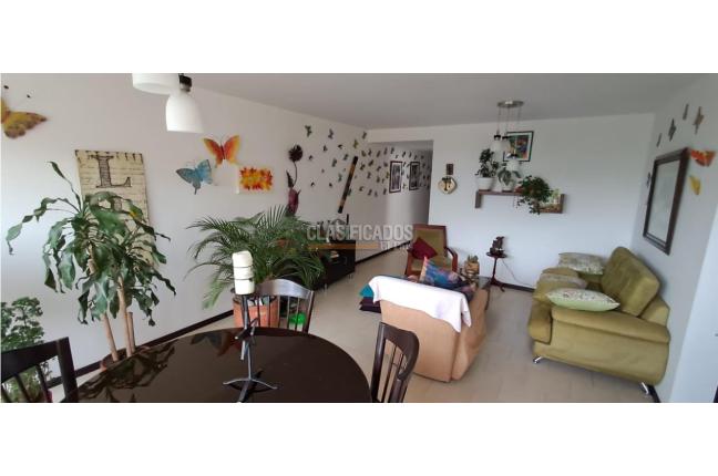 Apartamentos, Venta, Cuarto de Legua - $360.000.000