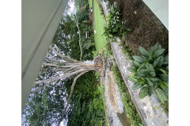 Casas, Venta, Pance - $4.500.000.000