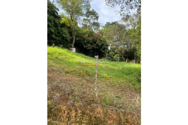 Lotes, Venta, Bellavista - $1.400.000.000