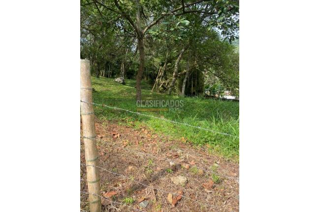 Lotes, Venta, Bellavista - $1.400.000.000