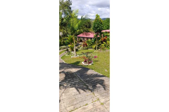 Casas, Venta, Dagua - $410.000.000