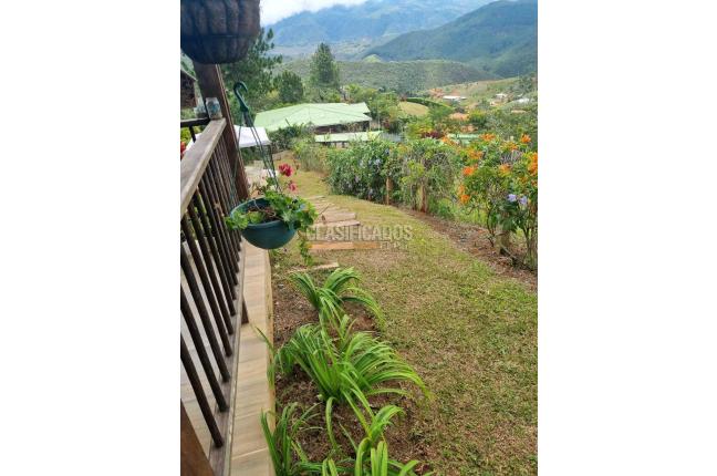 Casas, Venta, Dagua - $580.000.000