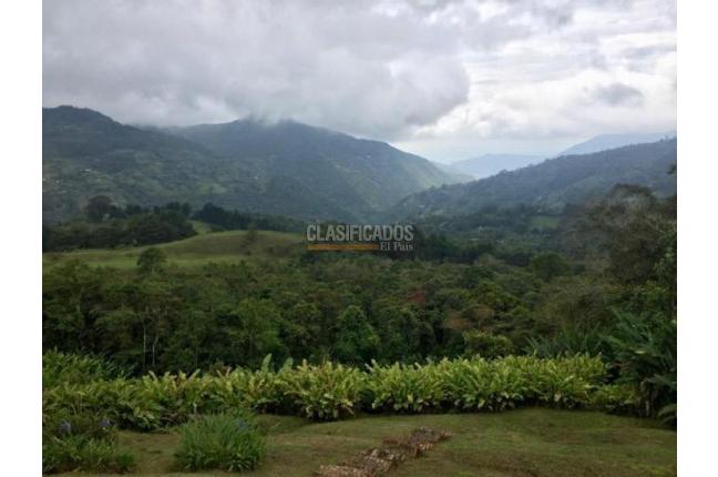 Fincas y Casas Campestres, Venta en Santa Rita