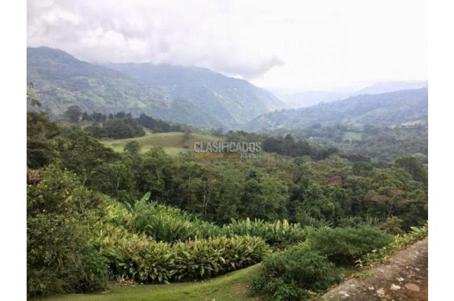 Fincas y Casas Campestres, Venta en Santa Rita