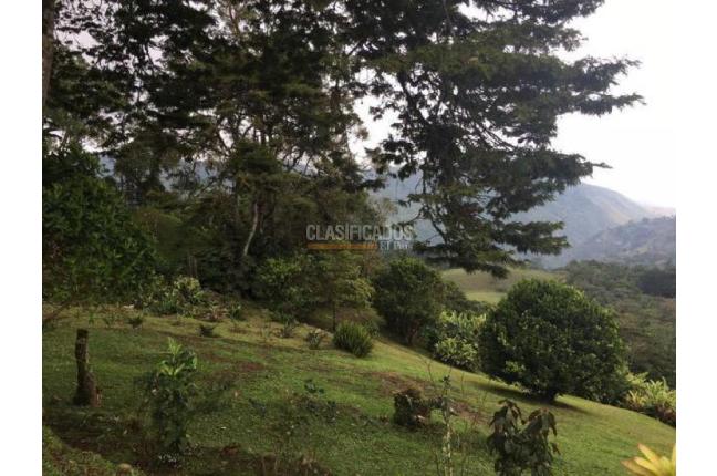 Fincas y Casas Campestres, Venta, Santa Rita - $1.300.000.000