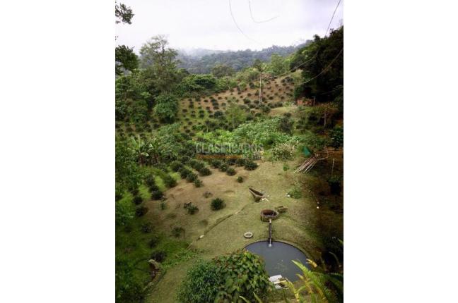 Fincas y Casas Campestres, Venta, Santa Rita - $1.300.000.000