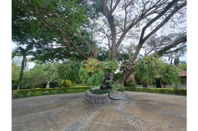 Casas, Venta, Palmira - $4.200.000.000