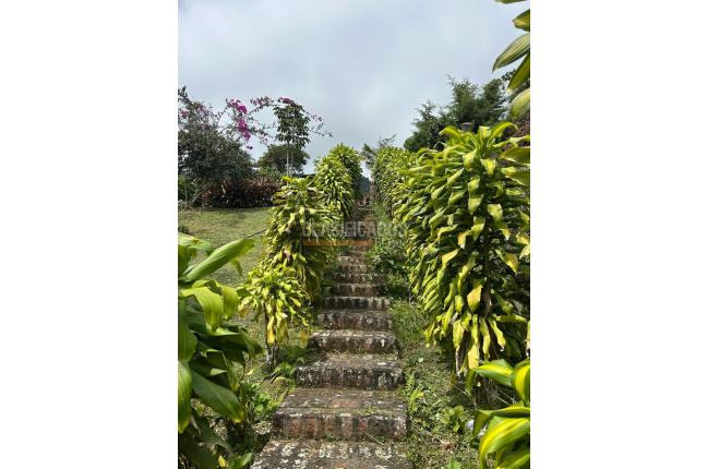 Fincas y Casas Campestres, Venta, La Elvira - $595.000.000