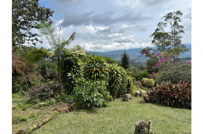 Fincas y Casas Campestres, Venta, La Elvira - $595.000.000