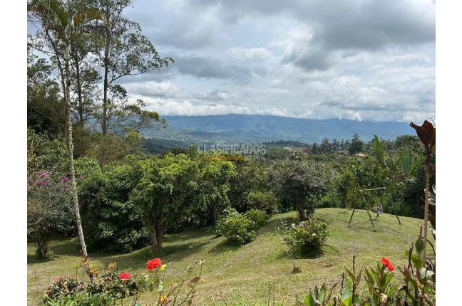 Fincas y Casas Campestres, Venta, La Elvira - $595.000.000