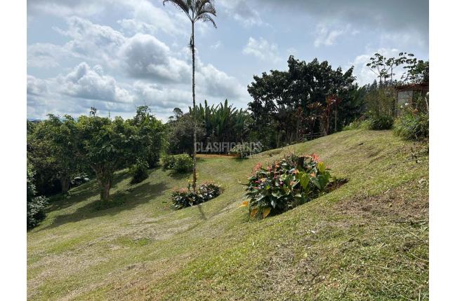 Fincas y Casas Campestres, Venta, La Elvira - $595.000.000