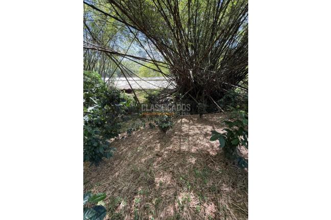 Casas, Alquiler, Floridablanca - $2.500.000