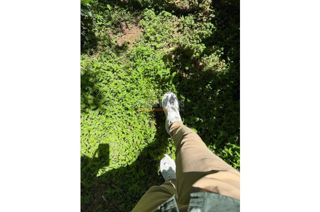 Casas, Alquiler, Floridablanca - $2.500.000