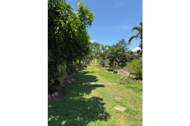 Casas, Alquiler, Floridablanca - $2.500.000