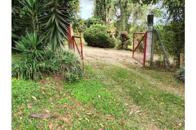 Fincas y Casas Campestres, Venta, Dagua - $590.000.000