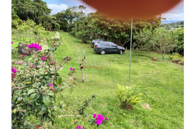 Fincas y Casas Campestres, Venta, Dagua - $590.000.000