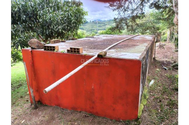 Fincas y Casas Campestres, Venta, Dagua - $590.000.000