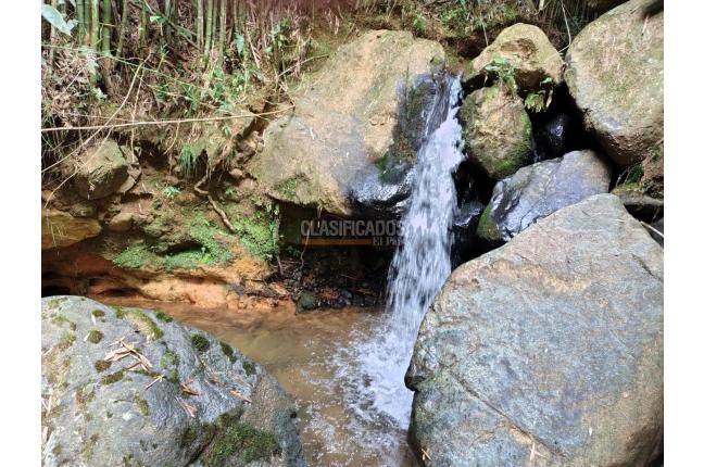 Fincas y Casas Campestres, Venta, Dagua - $590.000.000