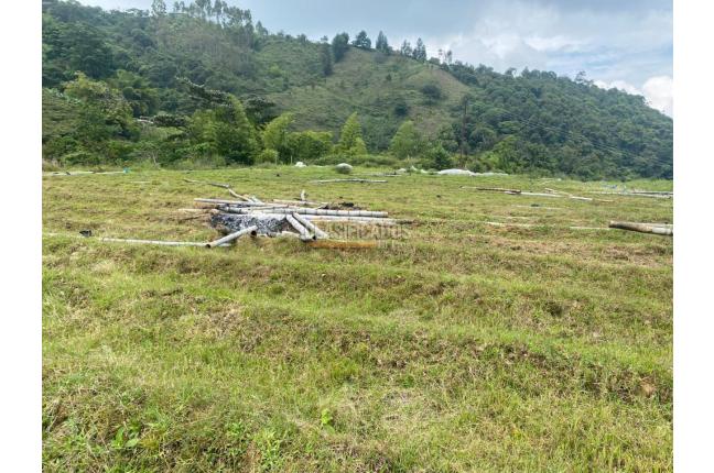 Fincas y Casas Campestres, Venta, Ginebra - $550.000.000